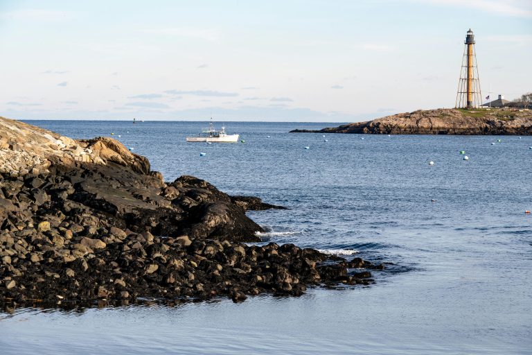 Future Trends in Travel Trailer Industry USA Guide