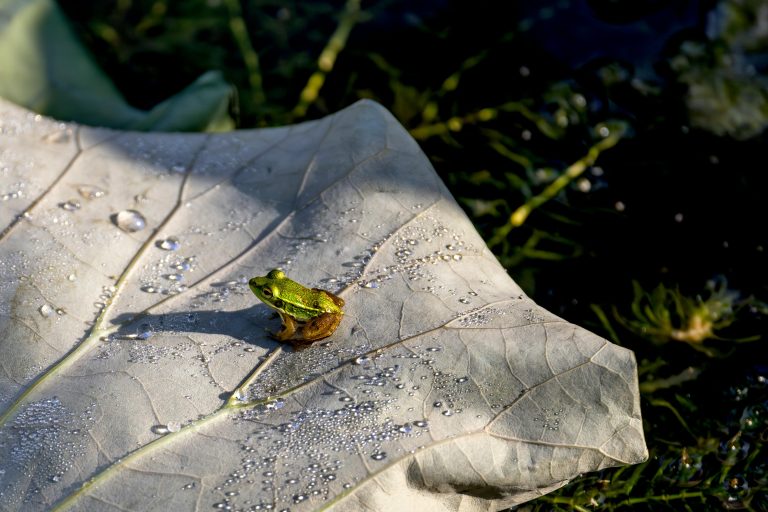 Customizing Your Travel Trailer Interior: Complete Guide