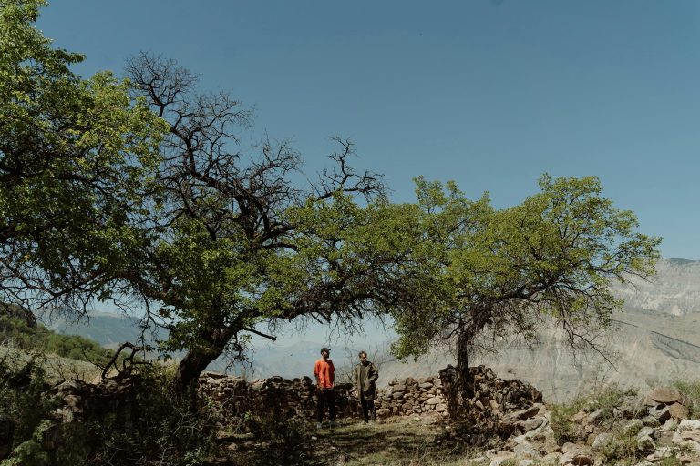 Aerodynamic Travel Trailers: Design & Performance Guide