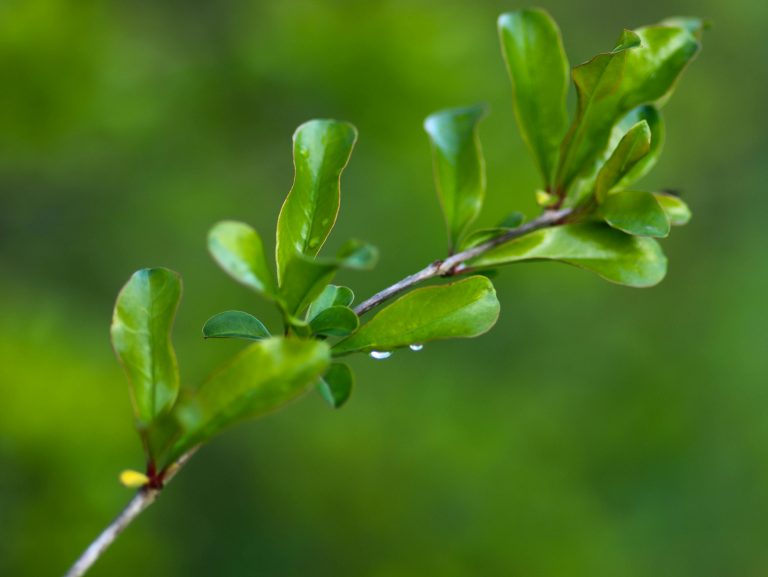 RV Water Filter System: Installation, Maintenance & Safety Guide