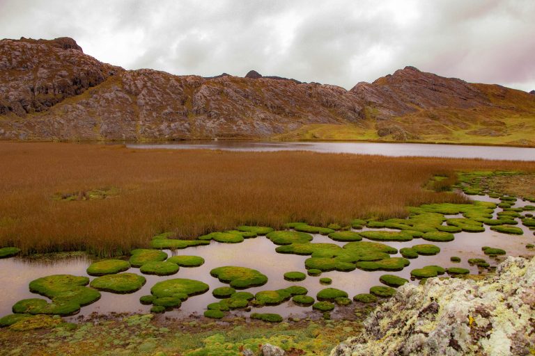 Travel Trailer Resale Value USA: What Holds Value Long Term