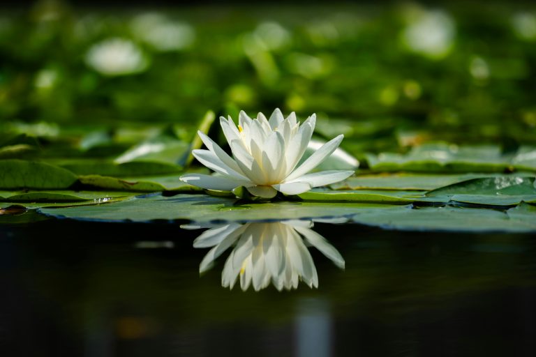 Recommended Generator for Travel Trailer: Top Picks & Tips