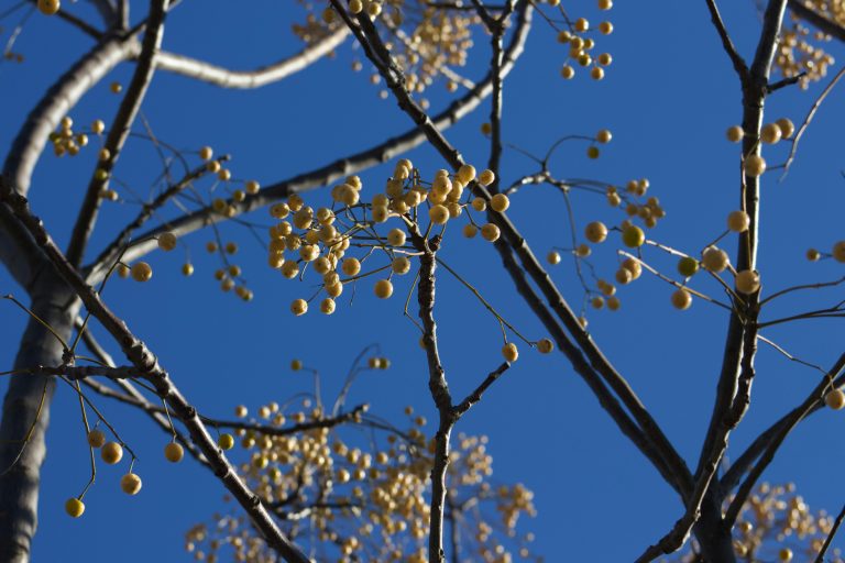 Off Road Hybrid Campers: A Complete Guide for Overlanding