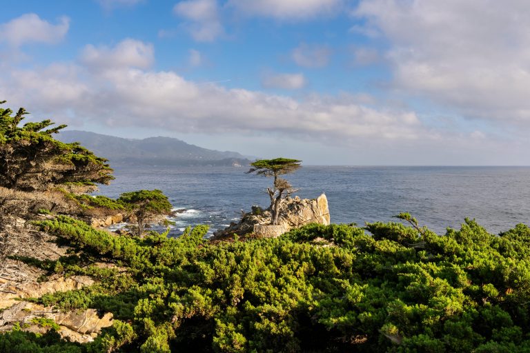 Best Off Road Camper Guide for Rugged Outdoor Travel