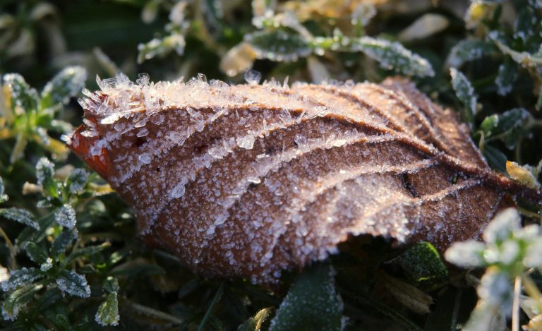 4WD Travel Trailers Explained: Trails, Towing & Setup