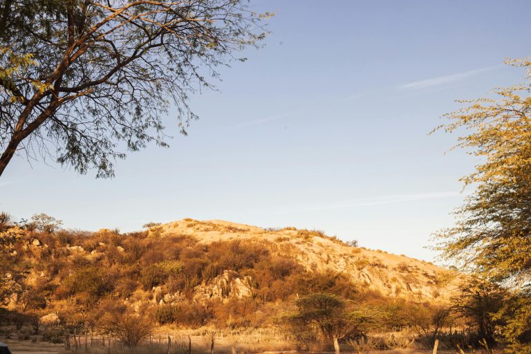 Small Pop Up Camper Guide: Lightweight Towing & Beginner Tips