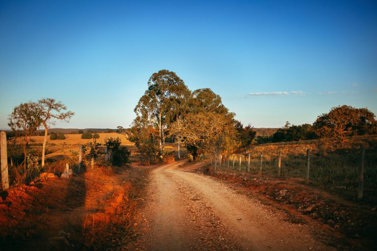 Iron Grid Campers: Rugged Modular Camping Explained