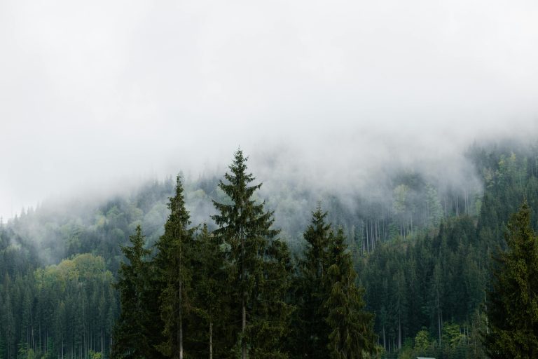 Travel Trailer Weight: 7 Mistakes You’re Still Making