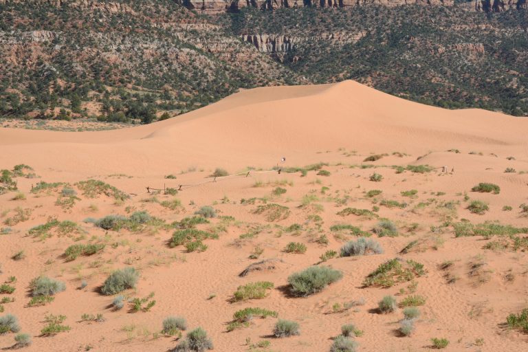 Off Road Trailer Camper: Complete Outdoor Travel Guide