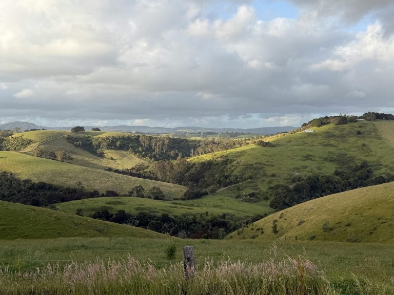 Pop Up Camper Guide: Setup, Maintenance & Camping Tips