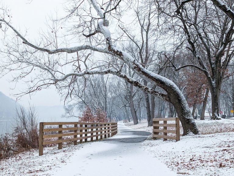 Texas Beach Camping RV: Rules, Best Beaches & Preparation