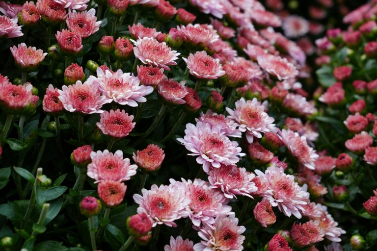 Top Adventure Travel Trailer Accessories Must-Have