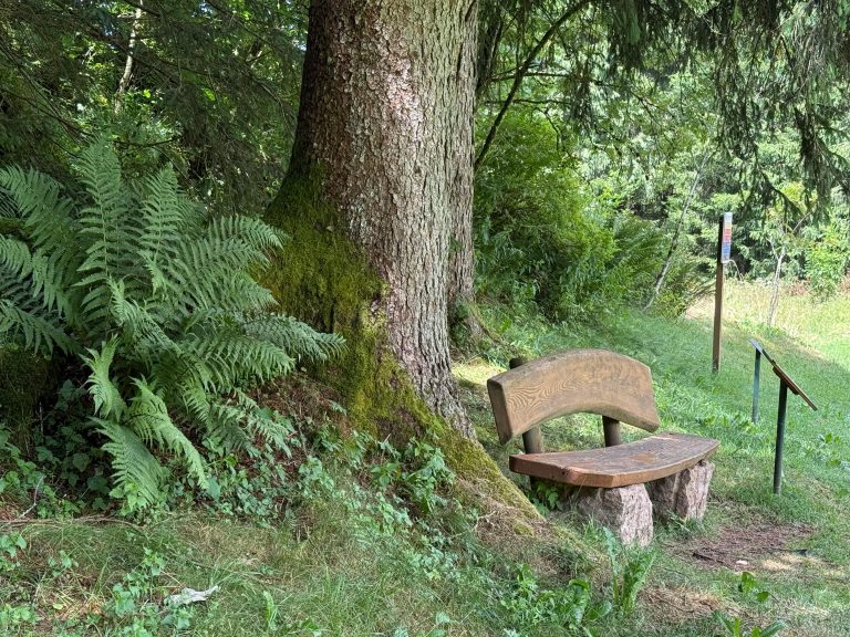 PNW Overland Routes Guide: Maps, Planning & Camping Tips