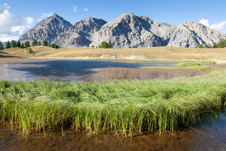 Expedition Trailer Tips: Features, Packing & Off-Grid Travel