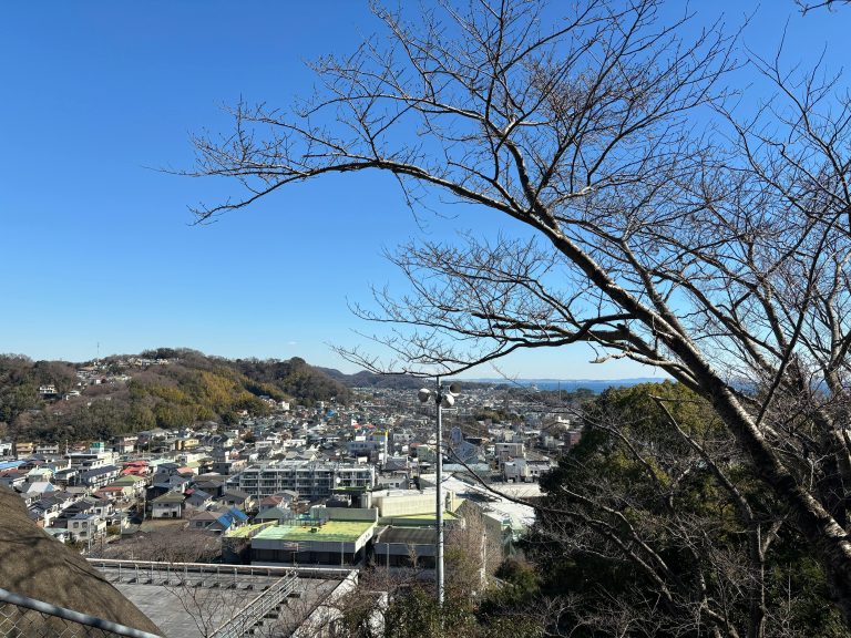 All Terrain Trailer Camper: Off-Road Types & Guide