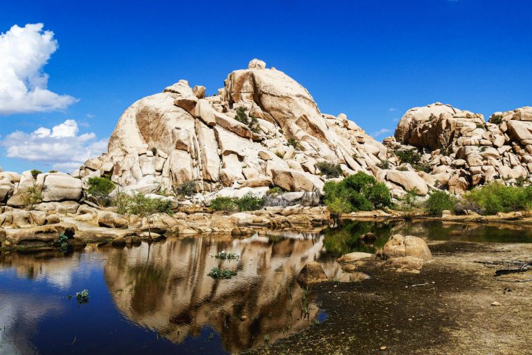 Top Eco-Friendly Travel Trailer Materials Explained