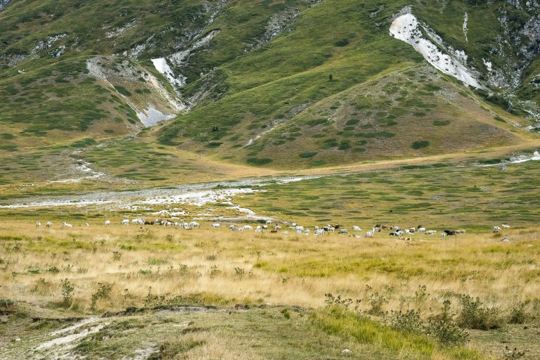 Winterizing Travel Trailers: Essential Guide for RV Owners