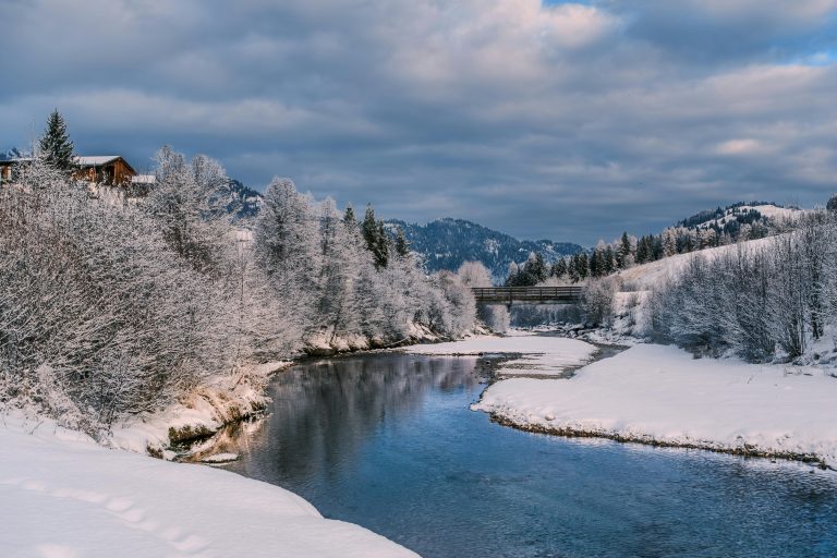 Travel Trailer vs Overland Trailer: Key Differences Explained