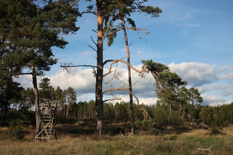 How to Clean RV Solar Panels for Maximum Efficiency