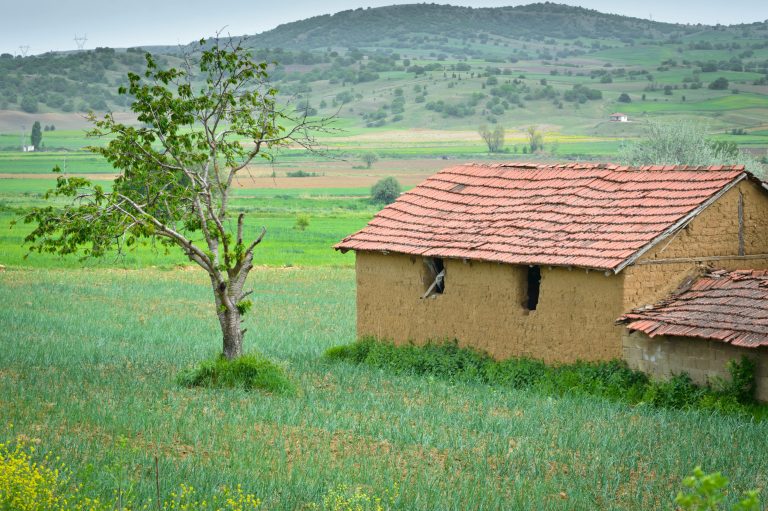 Full-Time RV Living: Tips, Setup & Lifestyle Guide