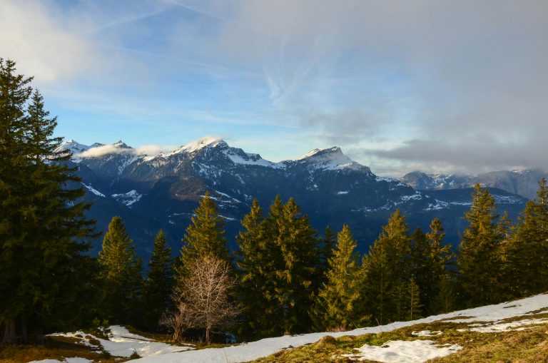 How to Hook Up a Weight Distribution Hitch Safely