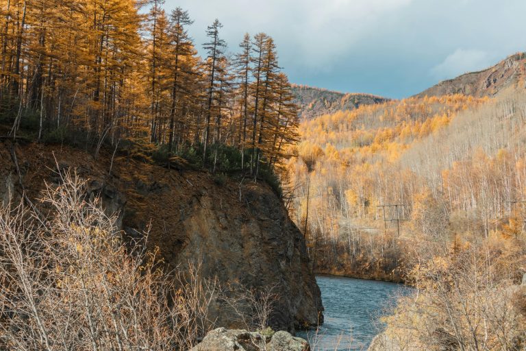 Off Road Trailer: Complete Guide for Rugged Adventures