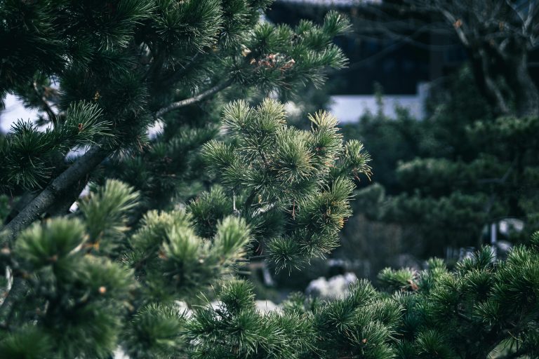 Top Rated Travel Trailers: 2026 Buyer’s Guide