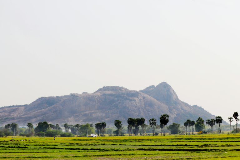 Solar Roof vs Flexible Solar Panels: Full Expert Comparison