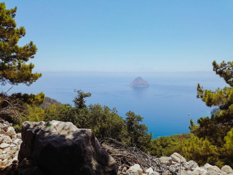 How to Sanitize RV Water Tank for Clean and Safe Water