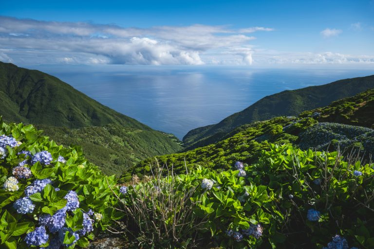 How to Winterize an Off Road Camper: Step-by-Step Guide