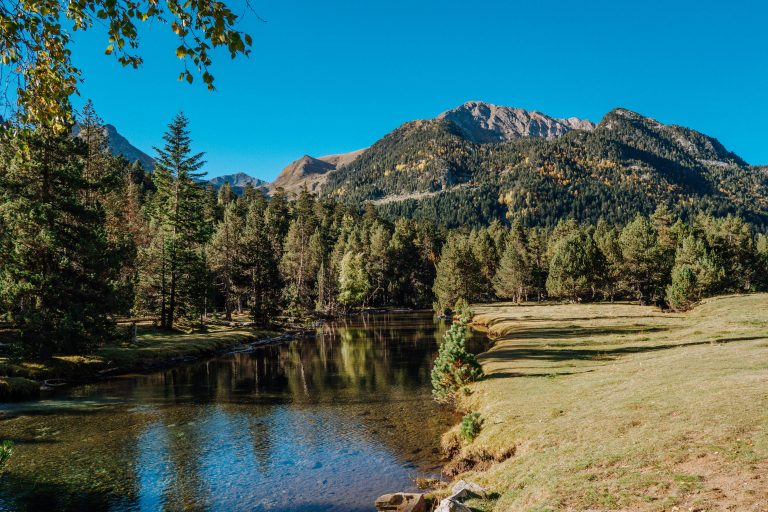 Backing Up a Trailer for Beginners: Step-by-Step Guide