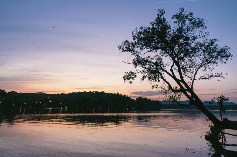 How to Back Up a Travel Trailer Alone Safely & Easily