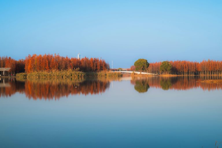 Compact Travel Trailers: A Complete Guide for Easy Towing