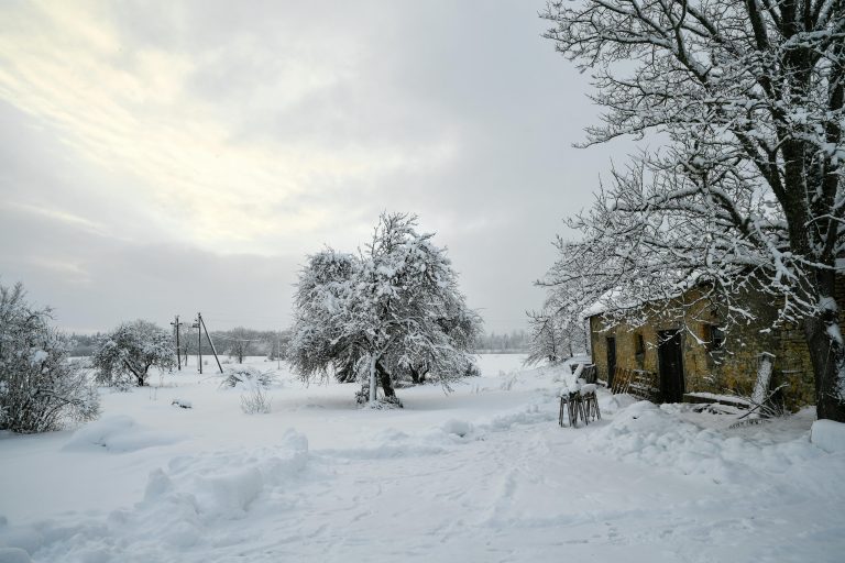 Travel Trailer Setup Guide: Steps & Checklist for Beginners