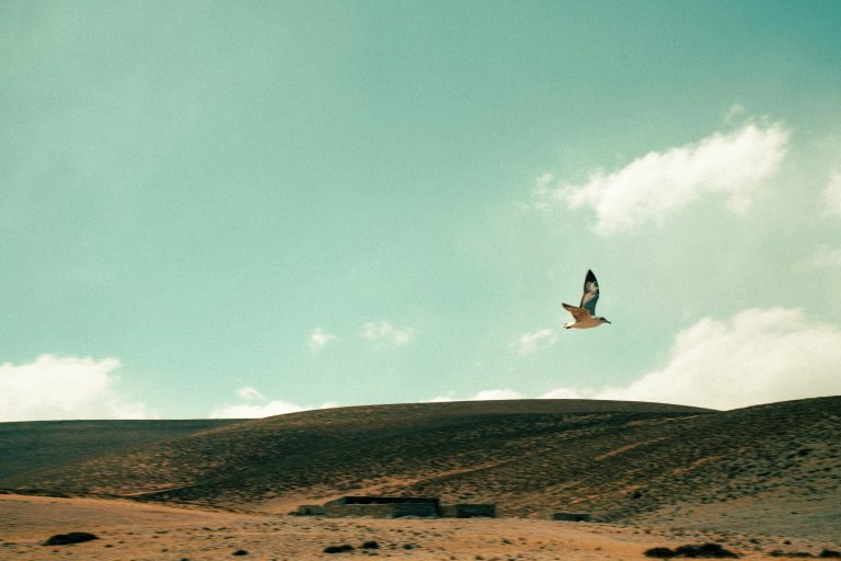 Best Aerodynamic Travel Trailers 2026 | Infanta Guide