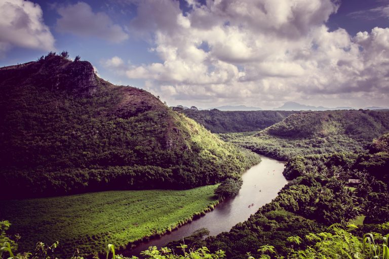 Trailer Shock Absorber Replacement: Signs, Steps & Safety Tips