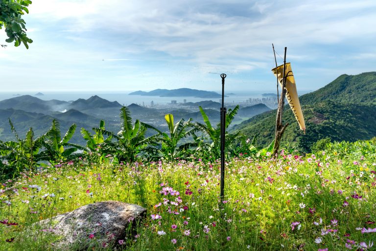 Mobile Habitat Guide: Design, Setup & Sustainable Living