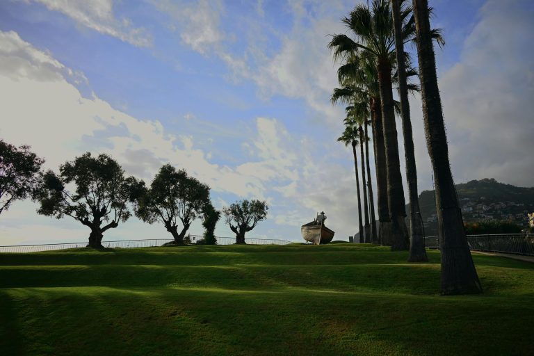 RV Cooking Tips: Simple & Stress-Free Meals for Beginners