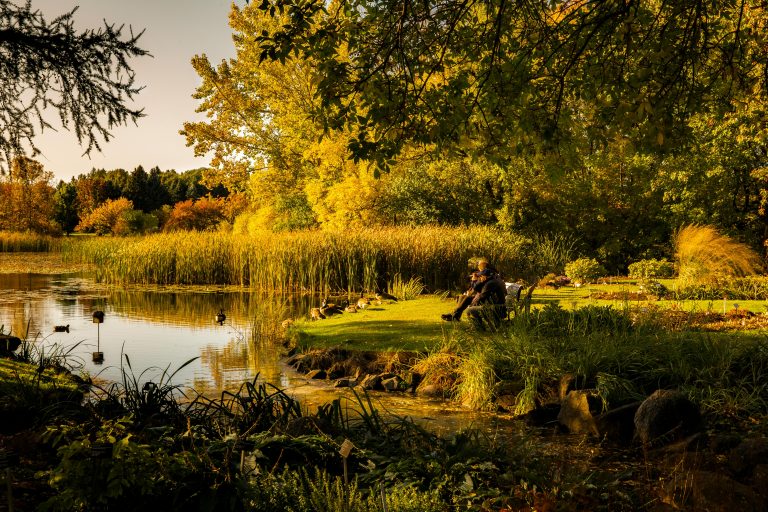 Hybrid Camper Guide: Setup, Pros, Cons & Real Use Cases