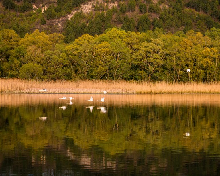 Trailer Brake Controller Installation Guide for Towing