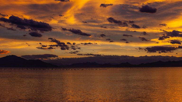 RV Grey Water Tank Smell: How to Eliminate & Prevent