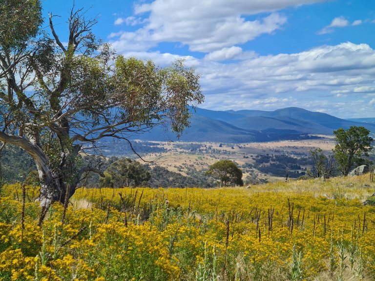 RV Sun Protection Guide: Keep Your RV Cool & UV-Protected