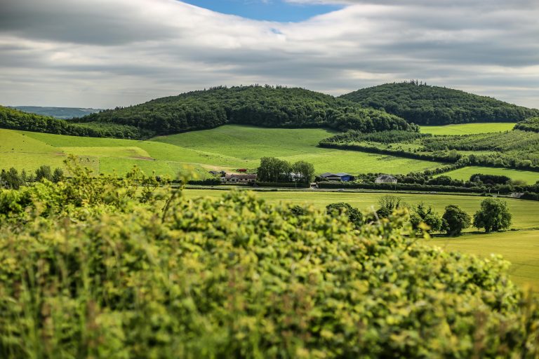 4 Season Travel Trailers: Ultimate Year-Round RV Guide