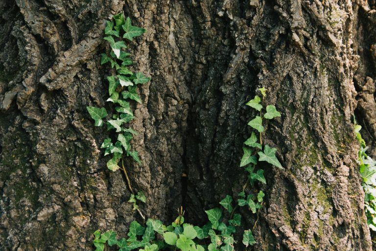 Self‑Sustaining Off Grid Trailer Systems Guide