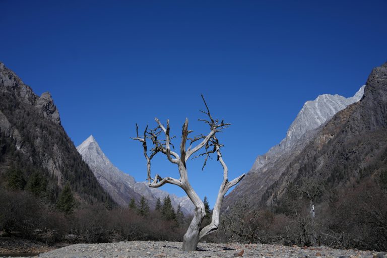 How to Prevent Trailer Theft in Driveways: Infanta Guide