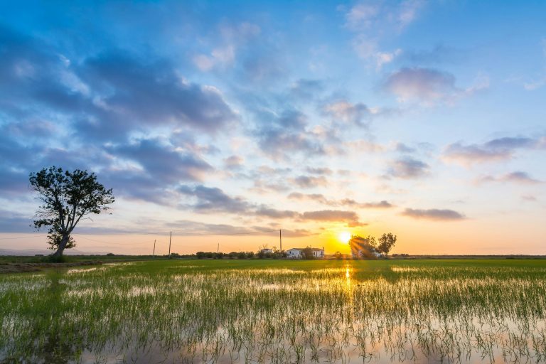 RV Dash Cam for Towing Safety: 2026 Infanta Guide