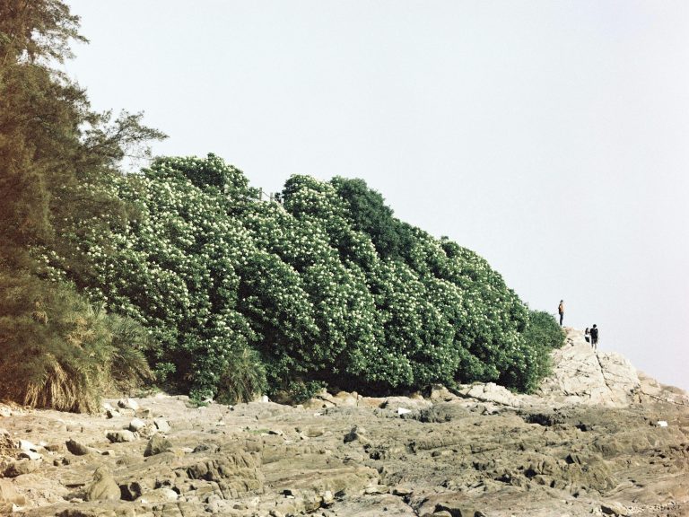 Towing Capacity Guide: GVWR, Payload & Tongue Weight