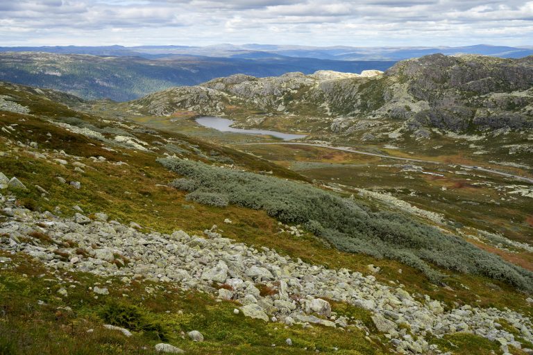 Off Grid Camper with Solar Panels Setup Guide