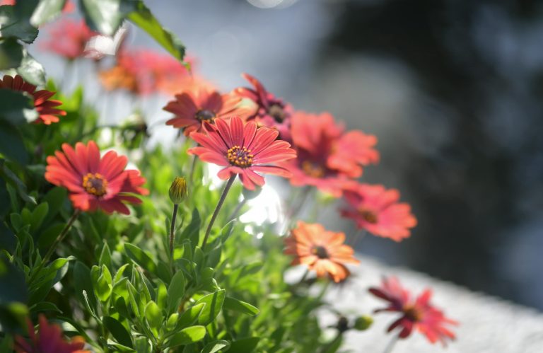 How to Clean RV Roof Safely: Infanta Guide