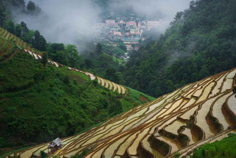 Teardrop Trailers Guide for Easy Camping